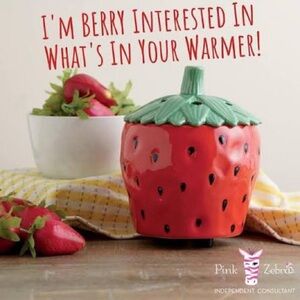 Pink Zebra Red Strawberry Simmer Pot